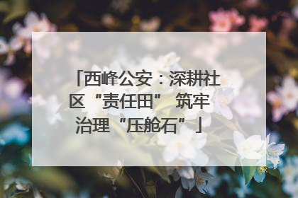 西峰公安：深耕社区“责任田” 筑牢治理“压舱石”