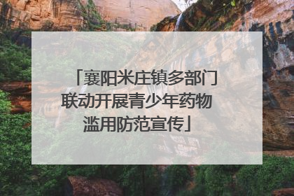 襄阳米庄镇多部门联动开展青少年药物滥用防范宣传