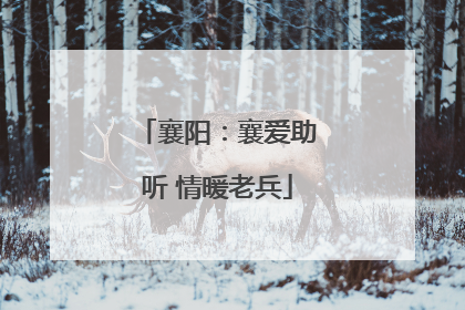 襄阳：襄爱助听 情暖老兵