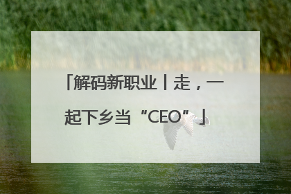 解码新职业丨走，一起下乡当“CEO”