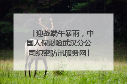 迎战端午暴雨，中国人保财险武汉分公司织密防汛服务网