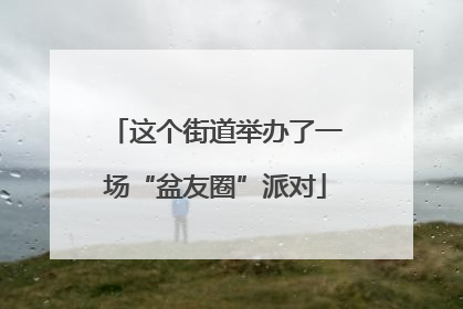 这个街道举办了一场“盆友圈”派对