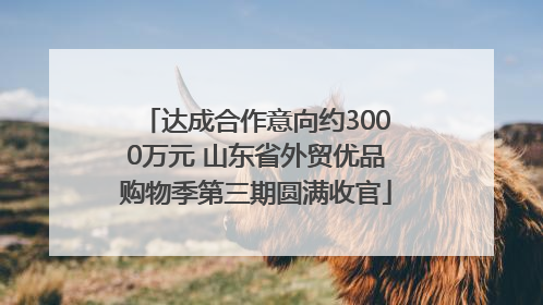 达成合作意向约3000万元 山东省外贸优品购物季第三期圆满收官
