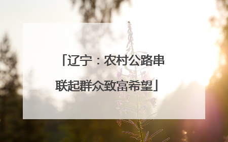 辽宁：农村公路串联起群众致富希望