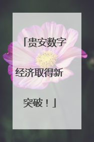 贵安数字经济取得新突破！