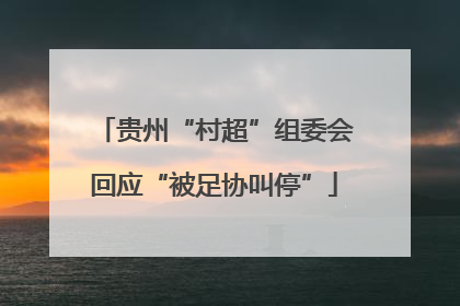 贵州“村超”组委会回应“被足协叫停”