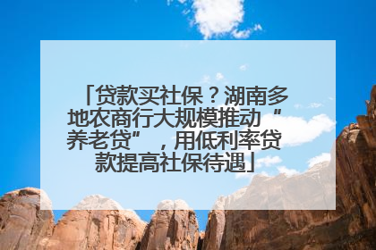 贷款买社保？湖南多地农商行大规模推动“养老贷”，用低利率贷款提高社保待遇