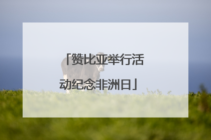 赞比亚举行活动纪念非洲日