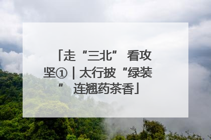 走“三北” 看攻坚①｜太行披“绿装” 连翘药茶香