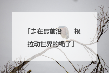 走在最前沿｜一根拉动世界的绳子