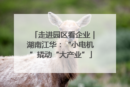 走进园区看企业｜湖南江华：“小电机”撬动“大产业”
