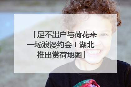 足不出户与荷花来一场浪漫约会！湖北推出赏荷地图