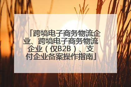 跨境电子商务物流企业、跨境电子商务物流企业（仅B2B）、支付企业备案操作指南