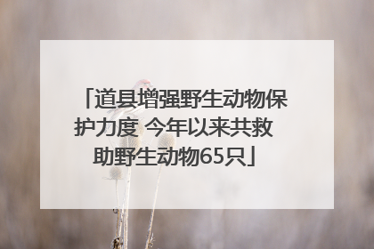 道县增强野生动物保护力度 今年以来共救助野生动物65只