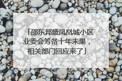 邵东邦盛凤凰城小区业委会筹备十年未果，相关部门回应来了