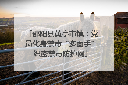 邵阳县黄亭市镇：党员化身禁毒“多面手” 织密禁毒防护网