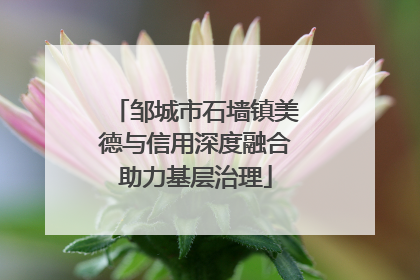 邹城市石墙镇美德与信用深度融合助力基层治理