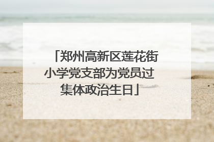 郑州高新区莲花街小学党支部为党员过集体政治生日