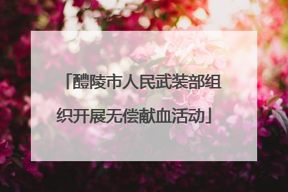醴陵市人民武装部组织开展无偿献血活动