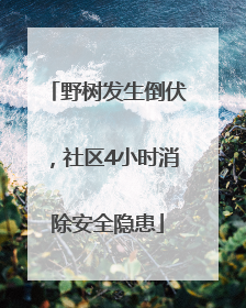 野树发生倒伏，社区4小时消除安全隐患