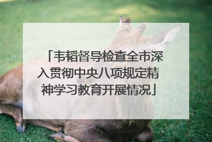 韦韬督导检查全市深入贯彻中央八项规定精神学习教育开展情况