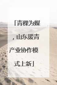 青稞为媒，山东援青产业协作模式上新