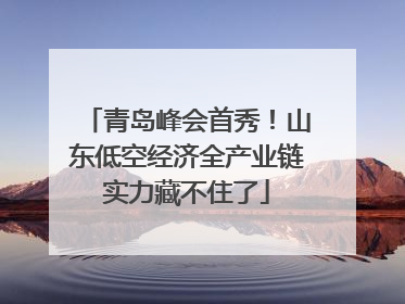 青岛峰会首秀！山东低空经济全产业链实力藏不住了