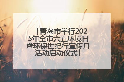 青岛市举行2025年全市六五环境日暨环保世纪行宣传月活动启动仪式