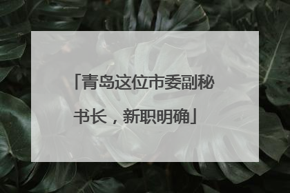 青岛这位市委副秘书长，新职明确