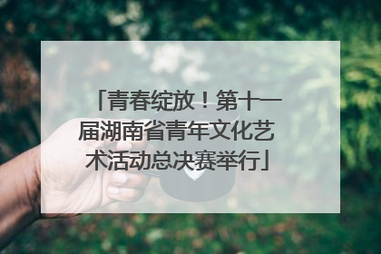 青春绽放！第十一届湖南省青年文化艺术活动总决赛举行