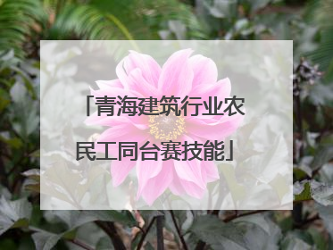 青海建筑行业农民工同台赛技能