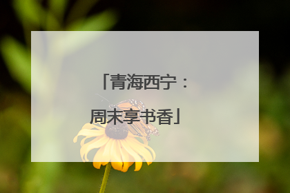 青海西宁：周末享书香