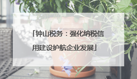 钟山税务：强化纳税信用建设护航企业发展