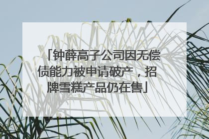 钟薛高子公司因无偿债能力被申请破产，招牌雪糕产品仍在售