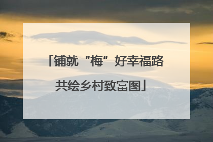 铺就“梅”好幸福路 共绘乡村致富图
