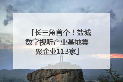 长三角首个！盐城数字视听产业基地集聚企业113家