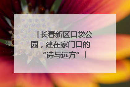 长春新区口袋公园，建在家门口的“诗与远方”