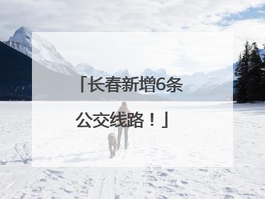 长春新增6条公交线路！
