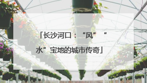 长沙河口：“风”“水”宝地的城市传奇