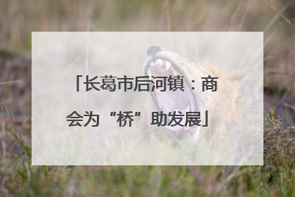 长葛市后河镇：商会为“桥”助发展