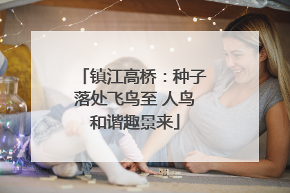 镇江高桥：种子落处飞鸟至 人鸟和谐趣景来