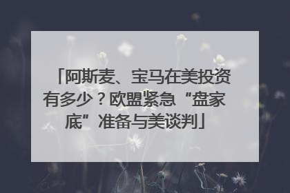 阿斯麦、宝马在美投资有多少？欧盟紧急“盘家底”准备与美谈判
