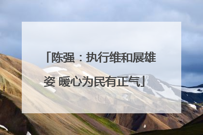 陈强：执行维和展雄姿 暖心为民有正气