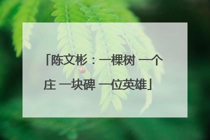 陈文彬：一棵树 一个庄 一块碑 一位英雄