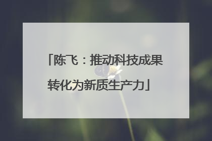 陈飞：推动科技成果转化为新质生产力