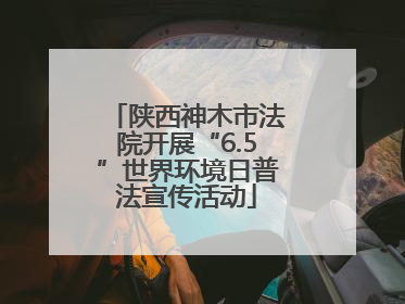 陕西神木市法院开展“6.5”世界环境日普法宣传活动
