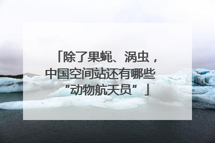 除了果蝇、涡虫，中国空间站还有哪些“动物航天员”