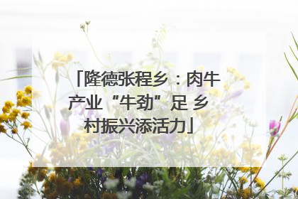 隆德张程乡：肉牛产业“牛劲”足 乡村振兴添活力