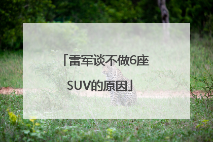 雷军谈不做6座SUV的原因