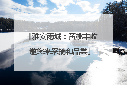 雅安雨城：黄桃丰收 邀您来采摘和品尝